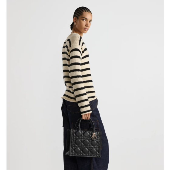 Small Dior Book Tote